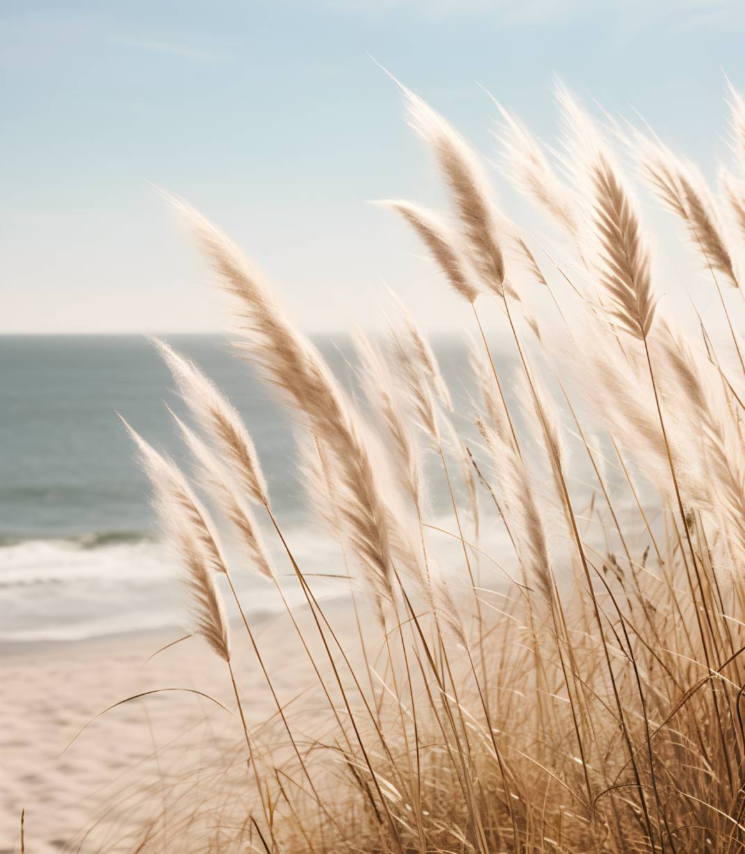 Neutral Beach Print Wall Art Boho Decor Coastal Wall Art Pampas Grass Print Minimalist Wall Art Ocean Poster Landscape Photography